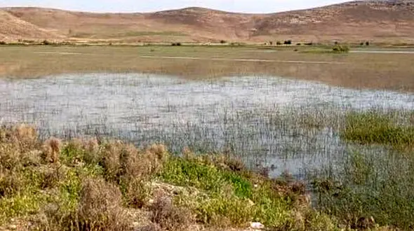  اقدامات ارزشمند تالاب شیمبار در راستای نگهداشت بیشتر آب /محیط بانان با مردم محلی ارتباط بیشتری داشته باشند
