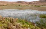 یک تالاب دیگر در آذربایجان‌غربی احیا شد / «درگه لطف الله» نقده بعد از 25 سال