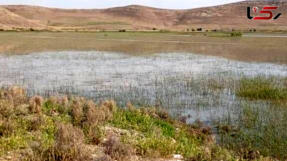  اقدامات ارزشمند تالاب شیمبار در راستای نگهداشت بیشتر آب /محیط بانان با مردم محلی ارتباط بیشتری داشته باشند