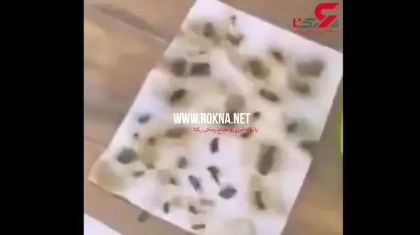 وحشت یک زن از 40 سوسک در ظرف سوپ  رستوران خارجی+ فیلم