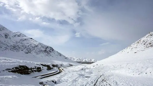تکرار وحشت در جاده چالوس + جزییات