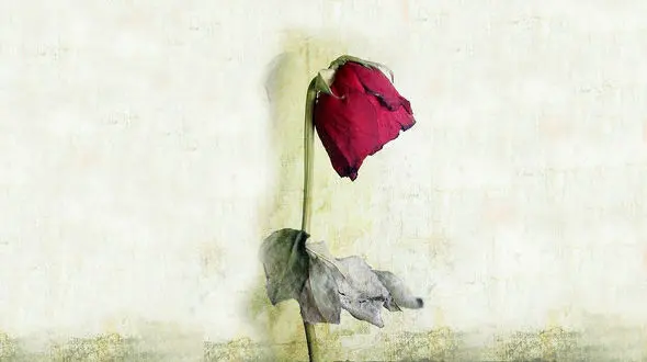 بلایی که مادرشوهر خرافاتی سر عروس مشهدی آورد / او نوه پسر می خواست