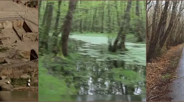 از کویر جن ریگ تا جنگل گیسوم +فیلم