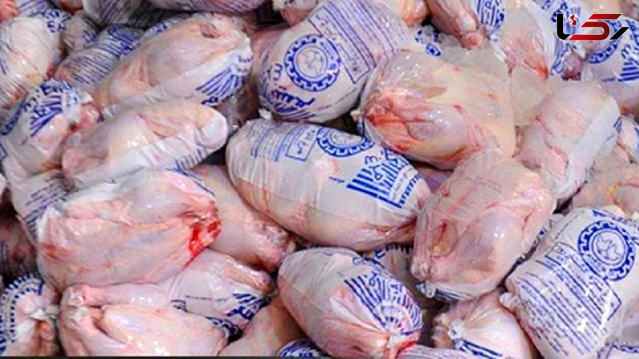 ۶۰۰ تن مرغ در مازندران توزیع می شود