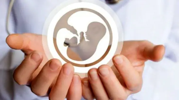 هشدار رئیس انجمن علمی ژنتیک پزشکی ایران به وزارت بهداشت: آزمایش غربالگری جنین به سمت زیرزمینی شدن می رود!