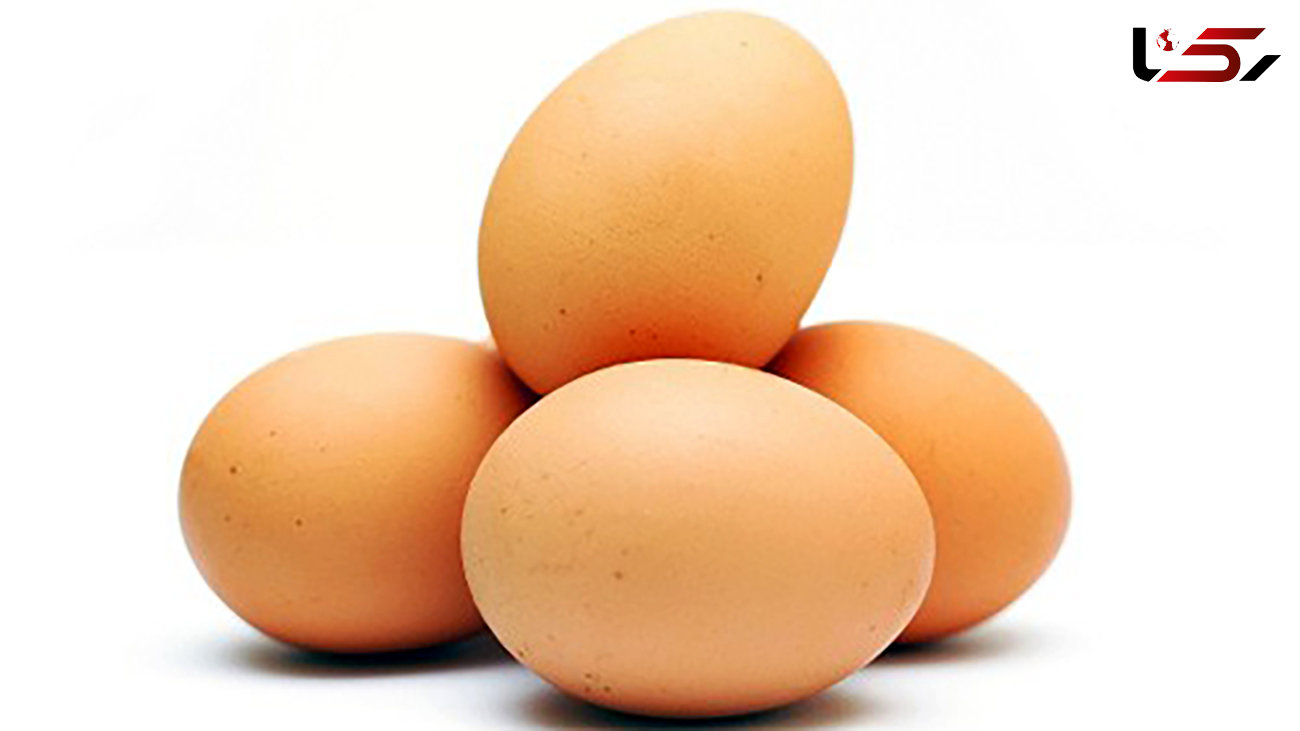 خبر عجیب/ توقیف 4  تن تخم مرغ به علت عدم مجوز 