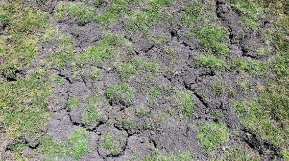 بی توجهی مسئولین به فرونشست ها / بی برنامگی در برداشت از سفره های آب زیر زمینی