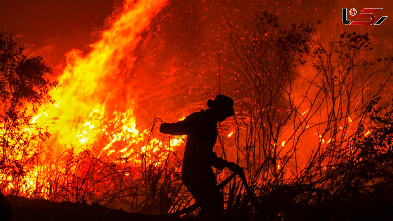 آتش سوزی، پنج هکتار از پارک ملی تندوره درگز را سوزاند