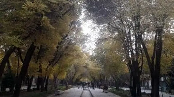 
پاییز1400 با کاهش 60 درصدی بارش روبه رو خواهیم بود