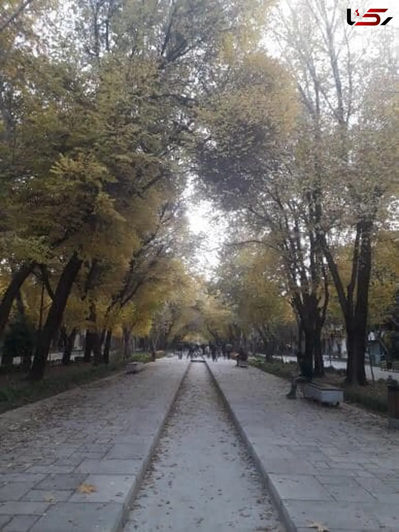 
پاییز1400 با کاهش 60 درصدی بارش روبه رو خواهیم بود