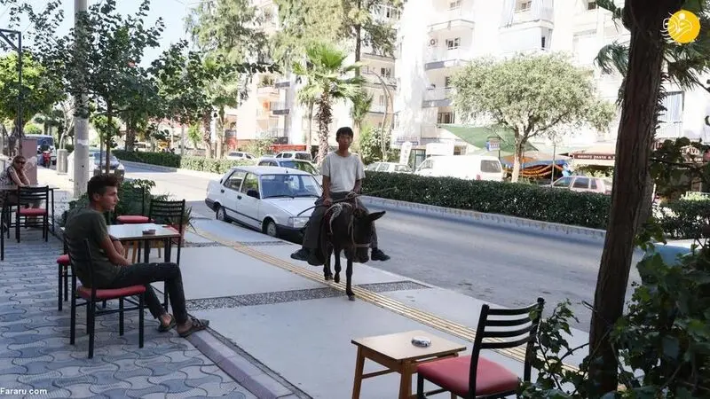 کوتارو گردشگر ژاپنی 