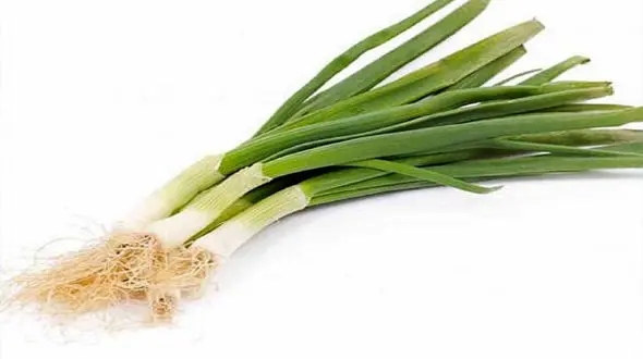 خواص بی‌نظیر پیازچه برای سلامتی