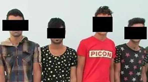 دزدان خیابانی گراش در دام پلیس + عکس 