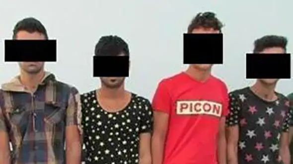دزدان خیابانی گراش در دام پلیس + عکس 