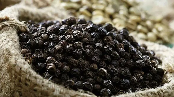 انفجار چربی های بدن با چای فلفل سیاه + طرز تهیه