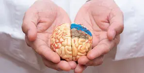 پیشگیری از آلزایمر از جوانی؛ از کنترل قند و فشار خون تا یادگیری زبان خارجی