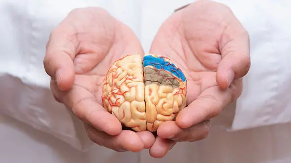 پیشگیری از آلزایمر از جوانی؛ از کنترل قند و فشار خون تا یادگیری زبان خارجی