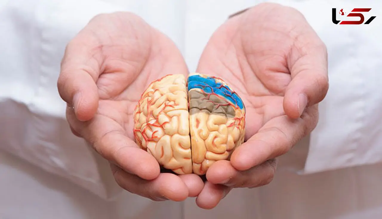 پیشگیری از آلزایمر از جوانی؛ از کنترل قند و فشار خون تا یادگیری زبان خارجی