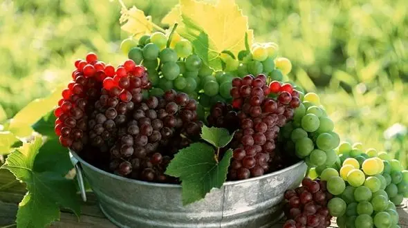 چربی‌سوزی کدام میوه زیاد است؟