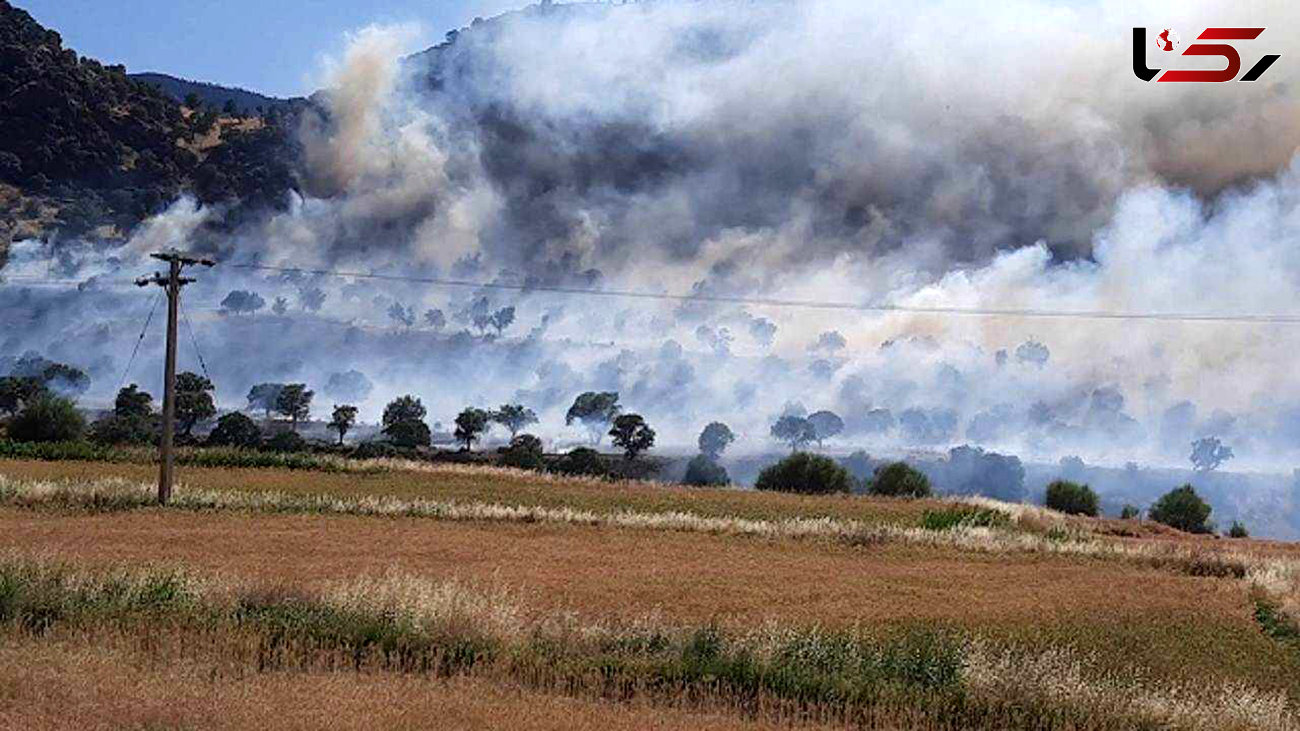 مهار آتش سوزی در مراتع شهرستان دنا
