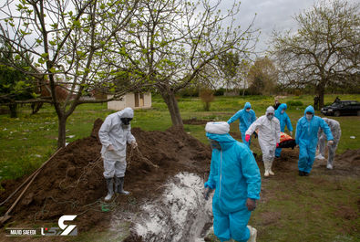 گروهی از داوطلبان مبارزه با کووید-19 در حال دفن یک قربانی کووید-19 ، قائم شهر - مازندران / عکاس: مجید سعیدی