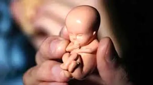 شرایط جدید سقط جنین/ صدور مجوز قانونی از سوی قاضی