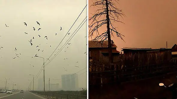 خورشید در سیبری ناپدید شد! + عکس 