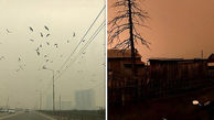 خورشید در سیبری ناپدید شد! + عکس 