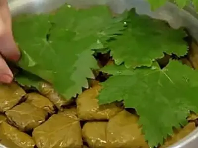فیلم آموزش درست کردن دلمه برگ مو 