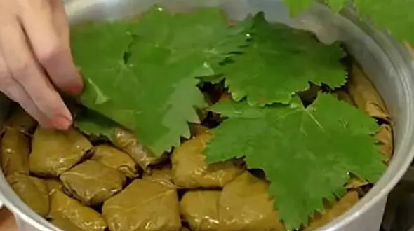 فیلم آموزش درست کردن دلمه برگ مو 
