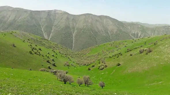 ۸۳ میلیون هکتار از مراتع کشور ممیزی شد
