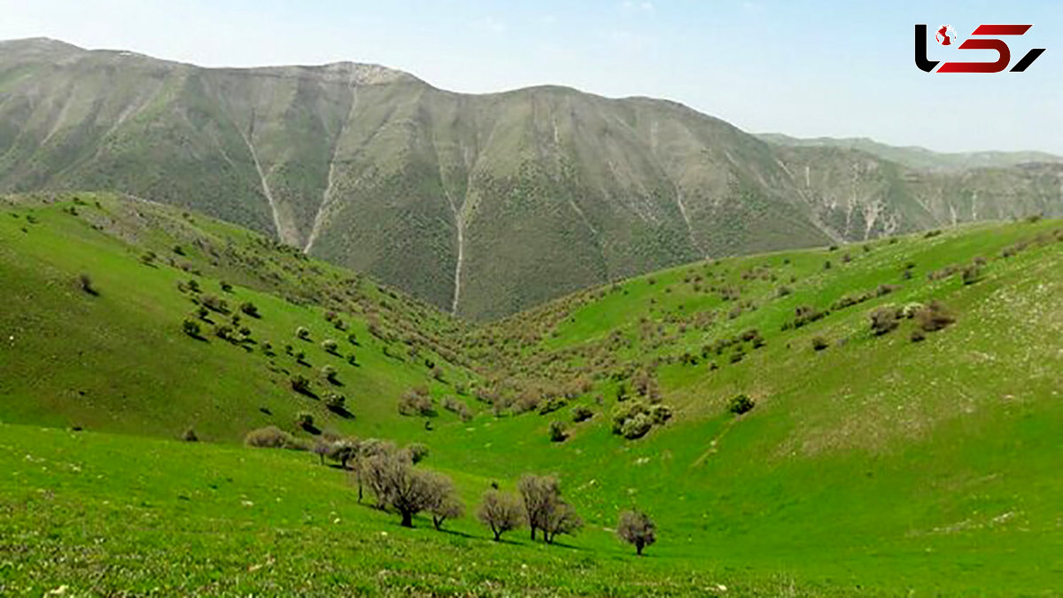 ۸۳ میلیون هکتار از مراتع کشور ممیزی شد