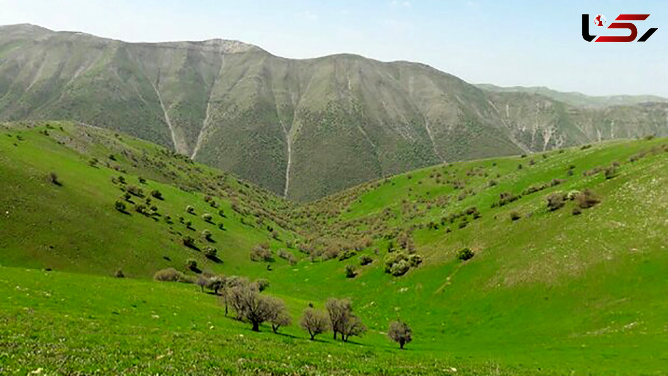 ۸۳ میلیون هکتار از مراتع کشور ممیزی شد