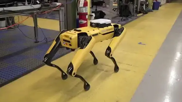 ربات هوشمندی که مثل یک حیوان خانگی رفتار می‌کند! + فیلم