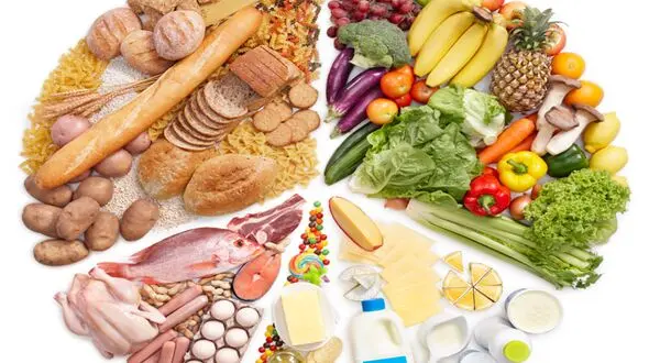 رونمایی از سبد غذایی مطلوب برای جامعه ایرانی 1403