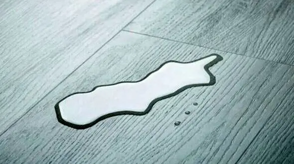 عجیب ترین و باور نکردنی ترین سلاح جاسوسی دنیا  + عکس 