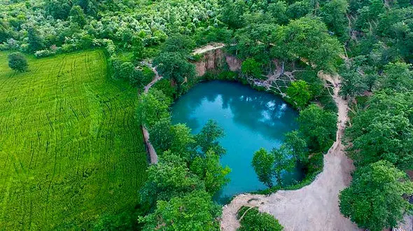 زیباترین عکس از مرداب 