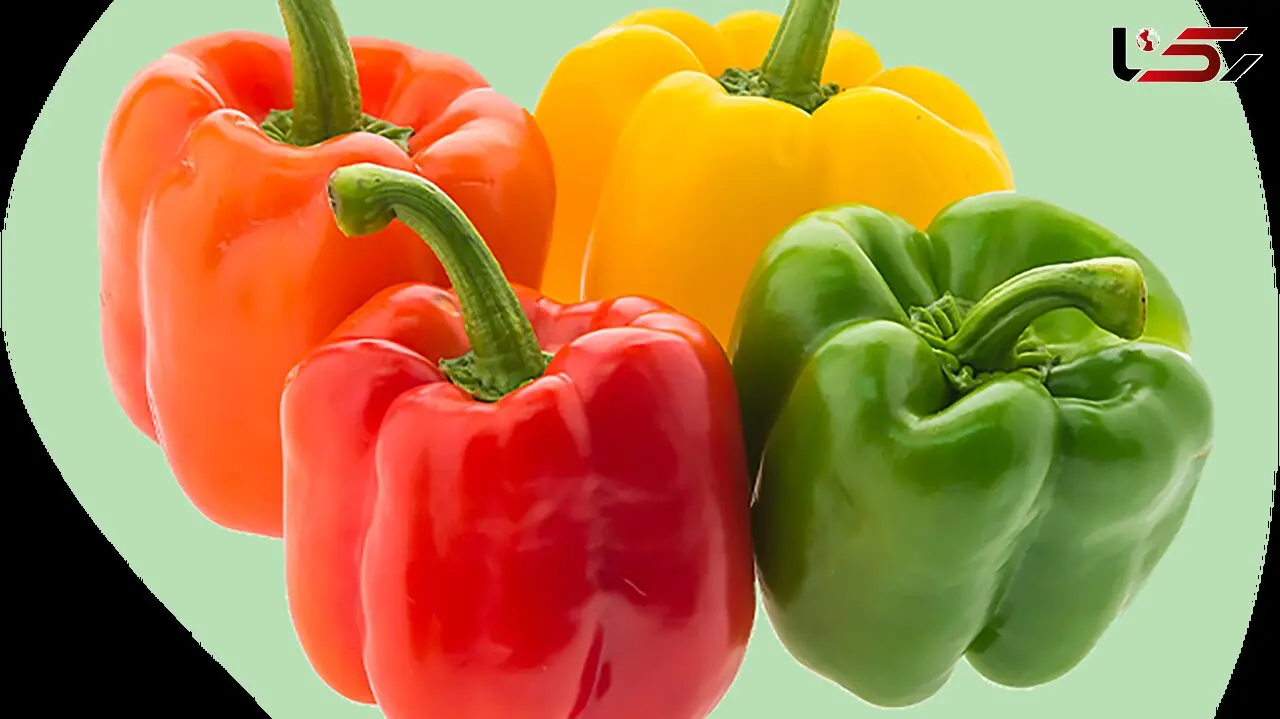 20 خوراکی کم کالری و مغذی برای کاهش وزن + جدول