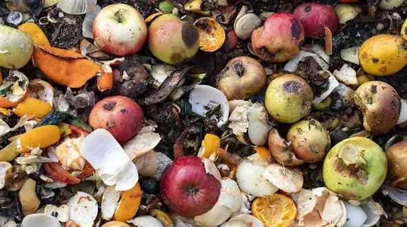 یک سوم از مواد غذایی در فرایند کشت، داشت و برداشت به ضایعات تبدیل می شود !