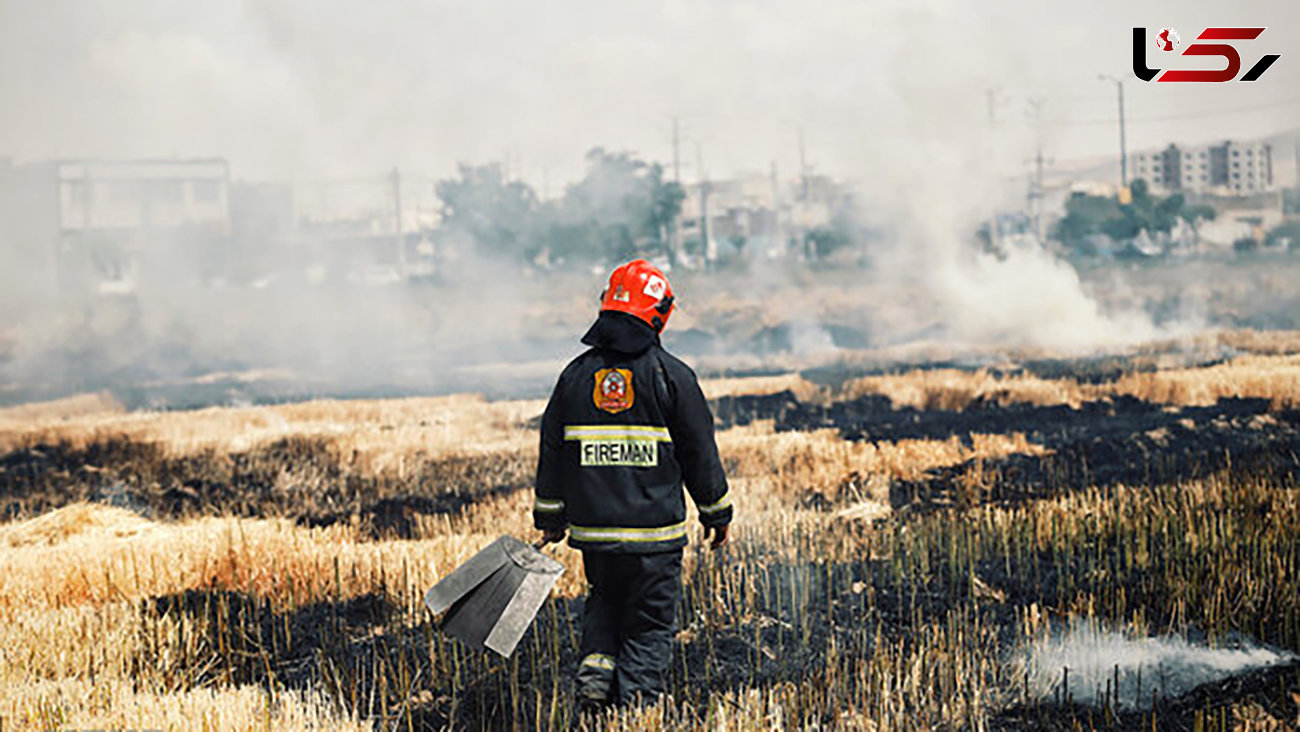 آتش سوزی در پارک جنگلی توس نوذر سنندج مهار شد