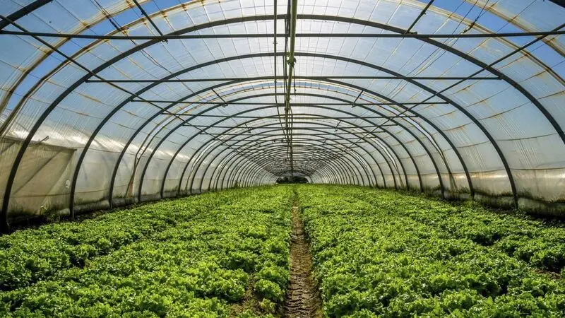 بهترین نایلون گلخانه برای فصل سرما