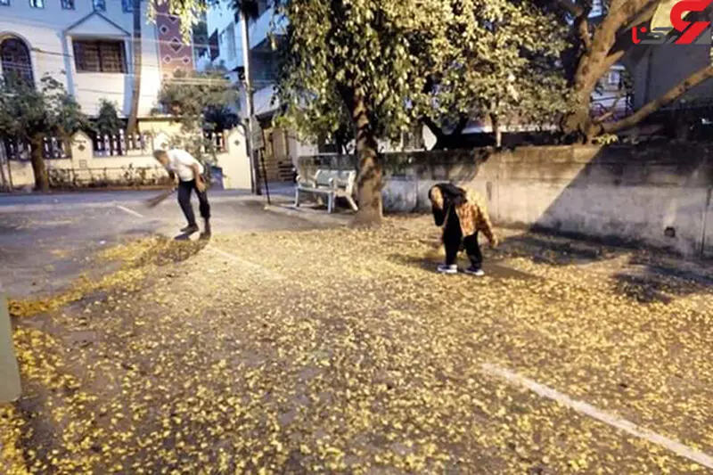 عکس وزیر آموزش هند (2)