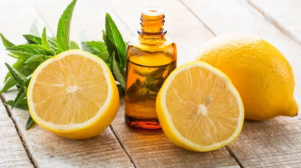 روغن های گیاهی درمان کننده سیاهی دور چشم