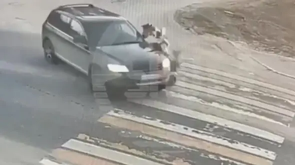 لحظه برخورد وحشتناک یک خودرو با کودک خردسال 