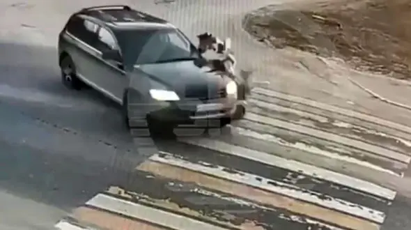 لحظه برخورد وحشتناک یک خودرو با کودک خردسال 