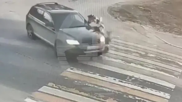 لحظه برخورد وحشتناک یک خودرو با کودک خردسال 