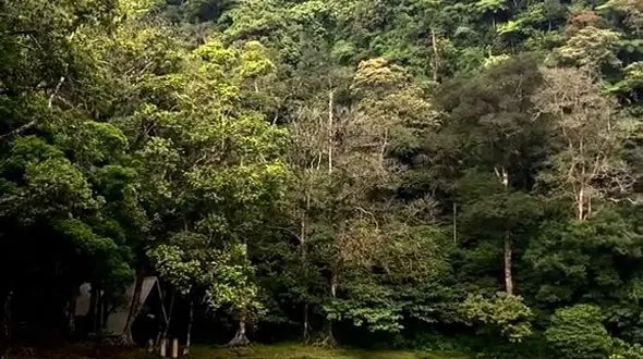 دو چهره از آرامش