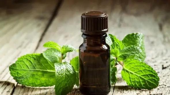 درمان مشکلات گوارشی با روغن نعنا