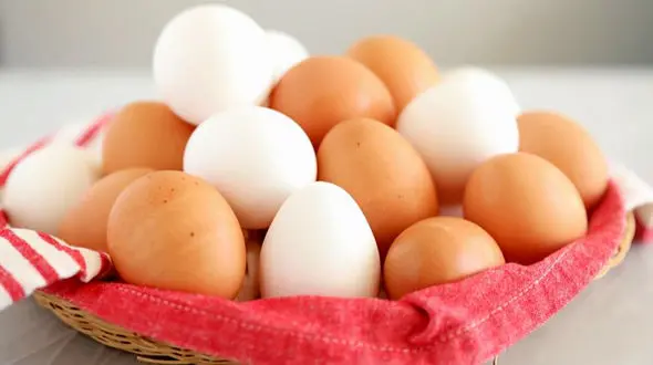 خطرات مصرف بیش از حد تخم مرغ 