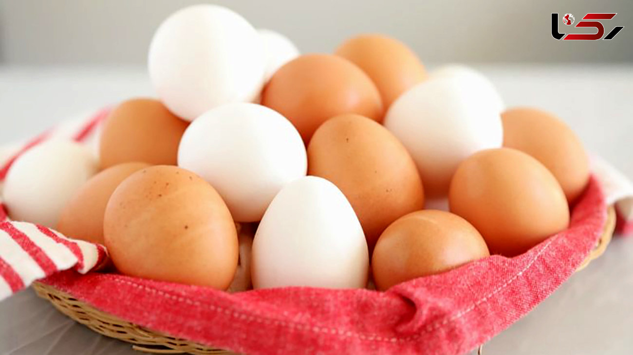 رژیم تخم مرغ آبپز روی کاهش وزن تاثیر دارد!؟ + نحوه پیروی از رژیم
